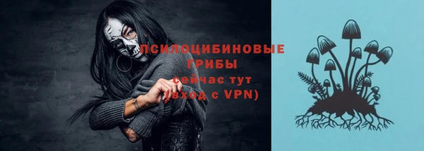 apvp Козловка