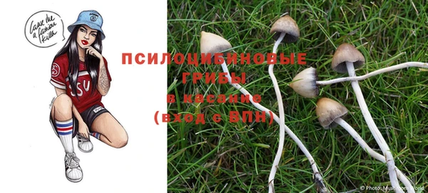 индика Киренск