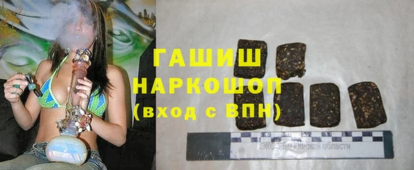 стаф Козельск
